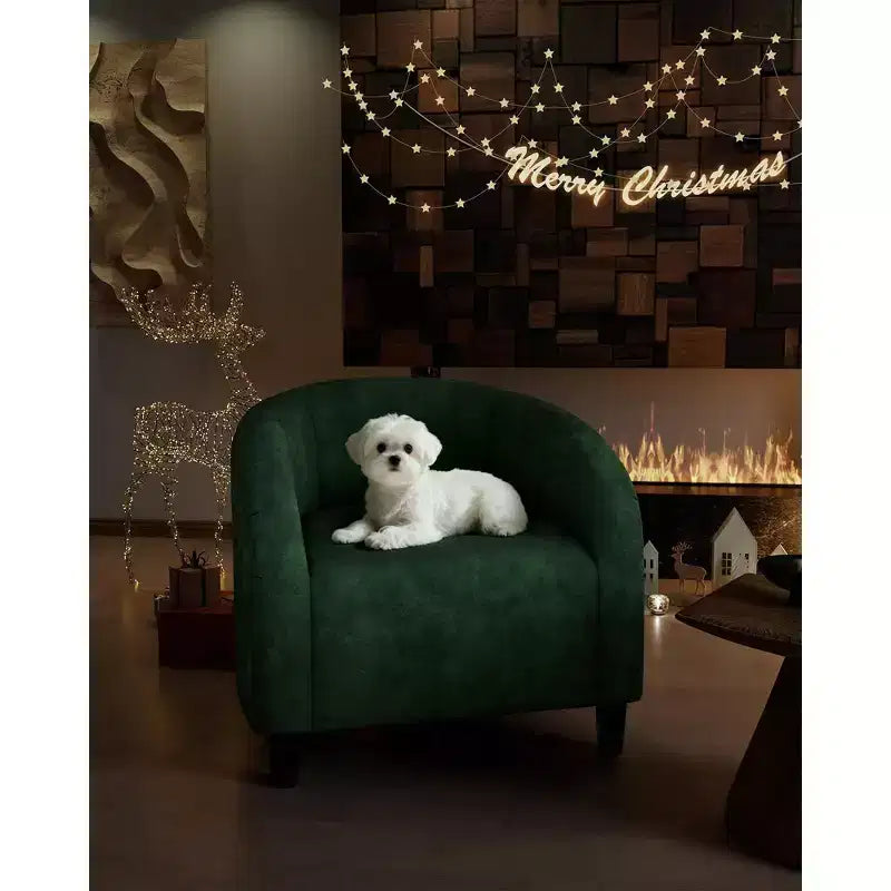 Barrel Accent Chair with Rounded Back & Soft Padded Seat, Modern Armchair for Living Room, Bedroom, Office